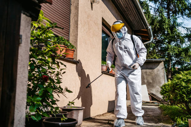 Best Termite Control Services  in Camden, OH