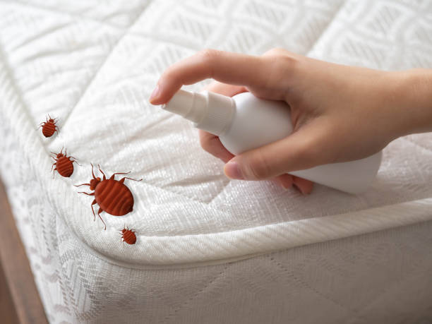 Best Spider Control Near Me  in Camden, OH