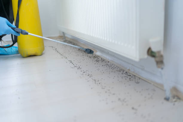 Best Mosquito Control Services  in Camden, OH